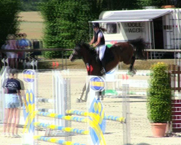 Reitturnier Großbardorf/Ufr. 2025