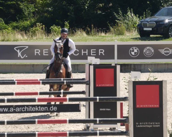 Reitturnier Babenhausen/Schw. 2025