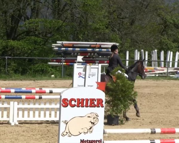 Großes Reit- und Springturnier Bühren-Breckerfeld 2014
