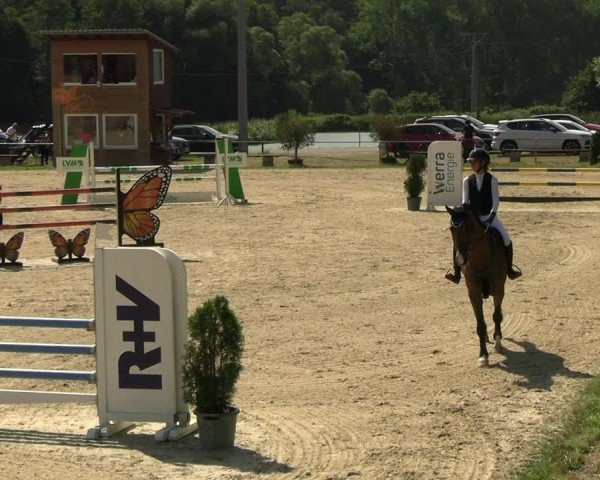 Reitturnier Bad Liebenstein/Sorga 2025