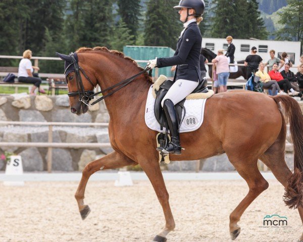 Dressurpferd Be My Lover (Oldenburger, 2018, von Blue Hors Baron)