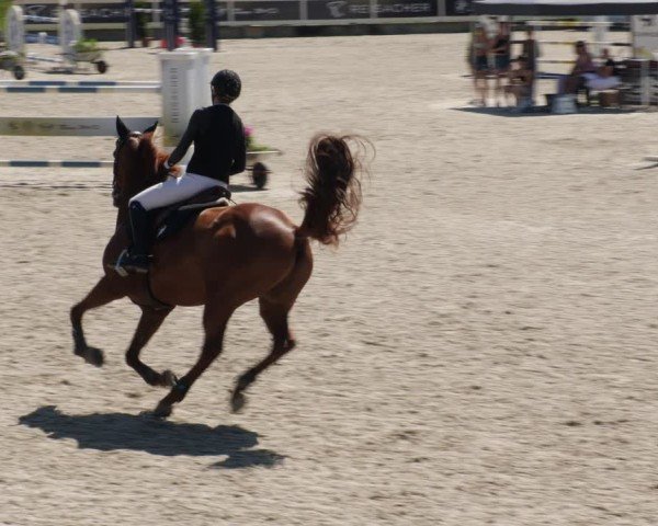 Reitturnier Babenhausen/Schw. 2025