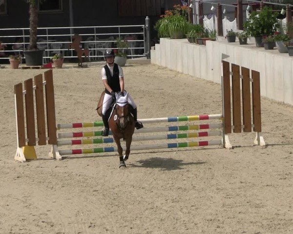 Reitturnier Uder, Reitanlage Kobold 2025