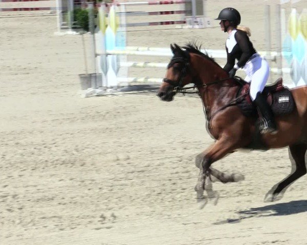 Reitturnier Großbardorf/Ufr. 2025