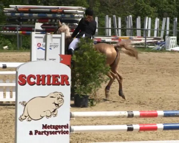 Großes Reit- und Springturnier Bühren-Breckerfeld 2014