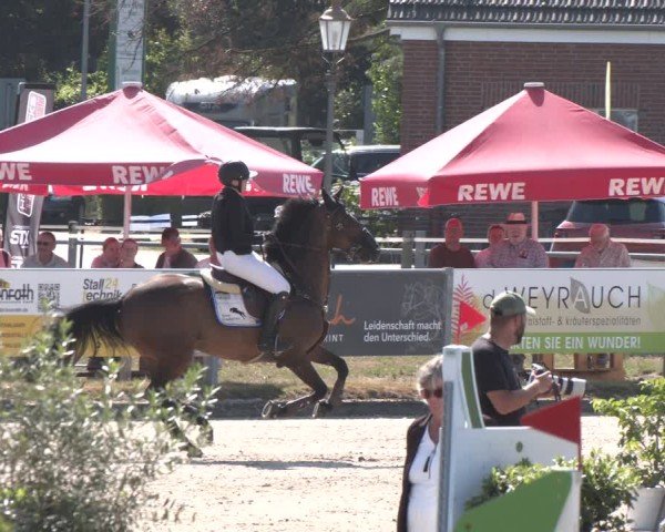 Reitturnier Langenfeld 2025