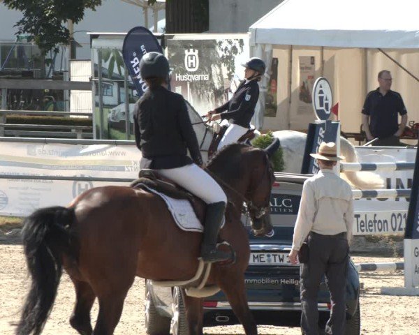 Reitturnier Langenfeld 2025