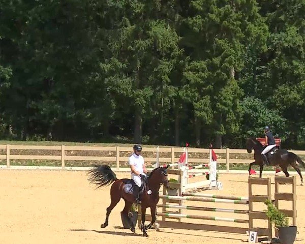 Reitturnier Tiefenhof/Opf. 2025