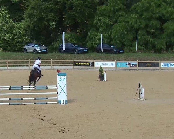 Reitturnier Tiefenhof/Opf. 2025