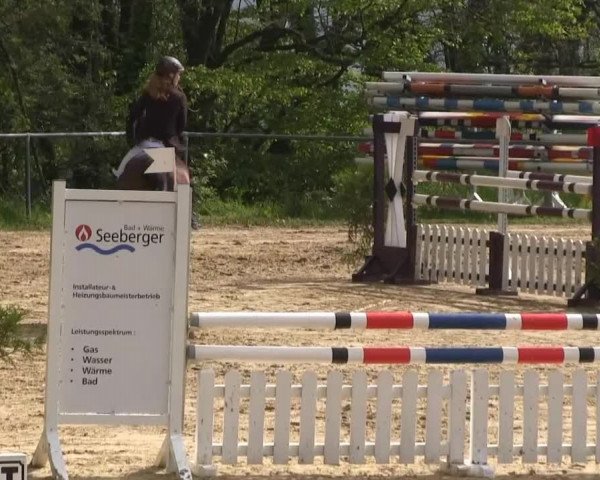 Großes Reit- und Springturnier Bühren-Breckerfeld 2014