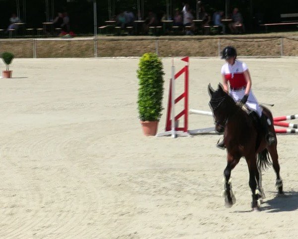 Reitturnier Großbardorf/Ufr. 2025