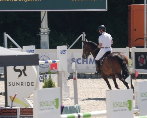 Reitturnier Babenhausen/Schw. 2025