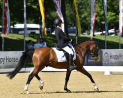 dressage horse Bergerhof's D-Sensation (German Riding Pony, 2018, from D-Power AT)