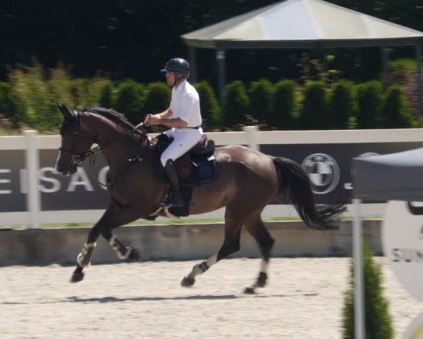 Reitturnier Babenhausen/Schw. 2025