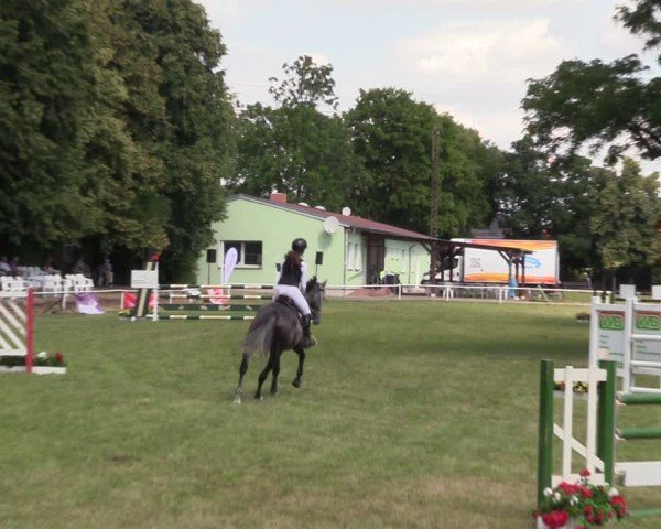 Reitturnier Schwittersdorf-Beesenstedt 2025