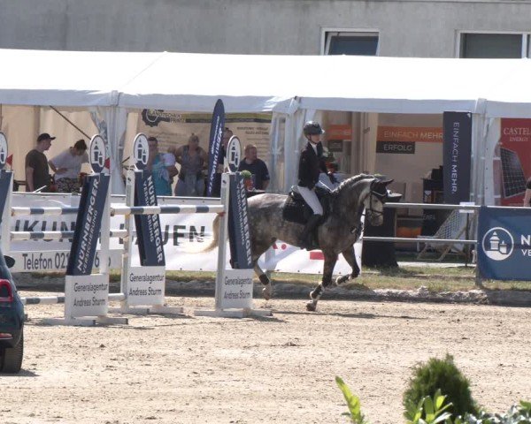 Reitturnier Langenfeld 2025