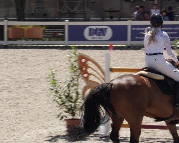 Reitturnier Babenhausen/Schw. 2025