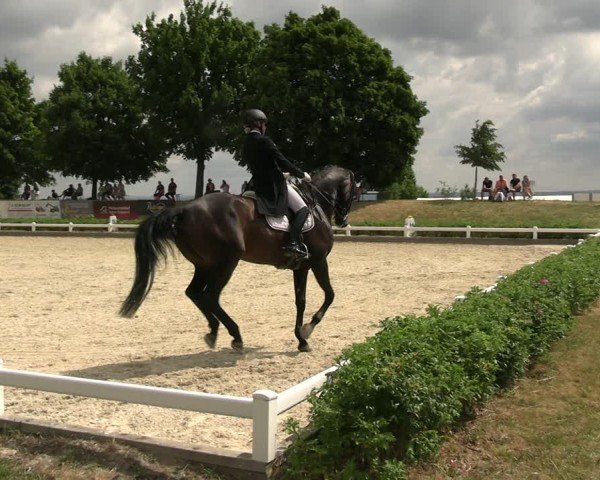 Reitturnier Dresden Gompitz 2025