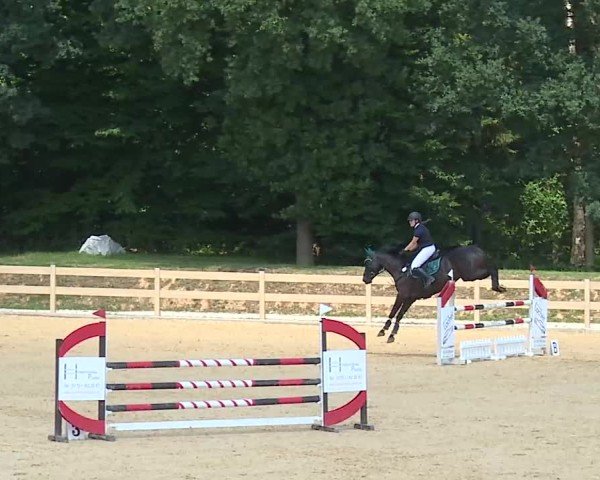 Reitturnier Tiefenhof/Opf. 2025