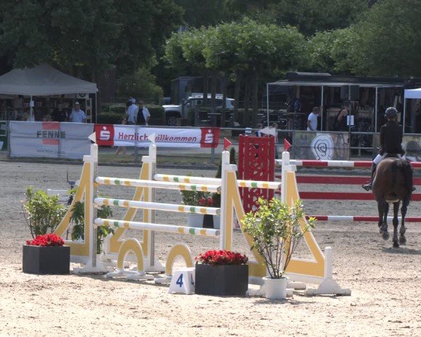 Reitturnier Langenfeld 2025