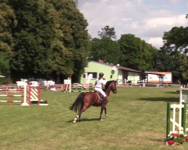 Reitturnier Schwittersdorf-Beesenstedt 2025