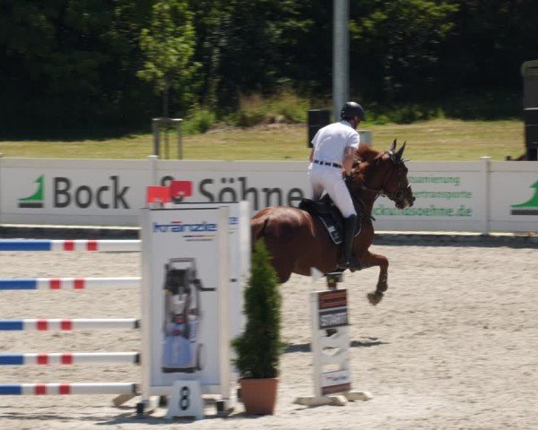 Reitturnier Babenhausen/Schw. 2025