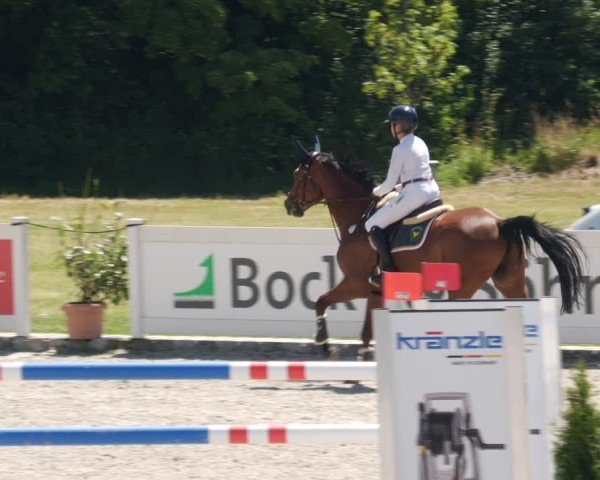 Reitturnier Babenhausen/Schw. 2025