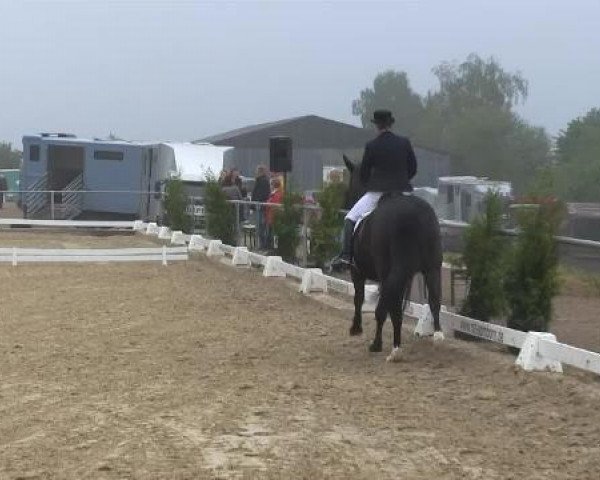 Großes Reit- und Springturnier Bühren-Breckerfeld 2014