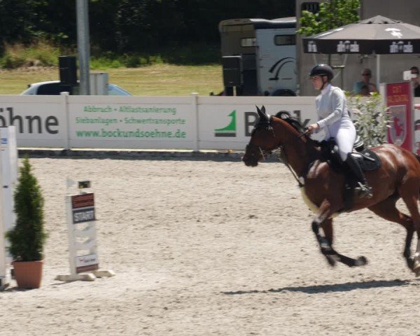 Reitturnier Babenhausen/Schw. 2025