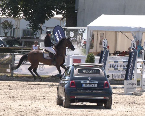 Reitturnier Langenfeld 2025