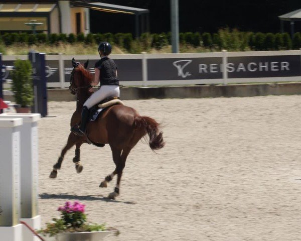 Reitturnier Babenhausen/Schw. 2025