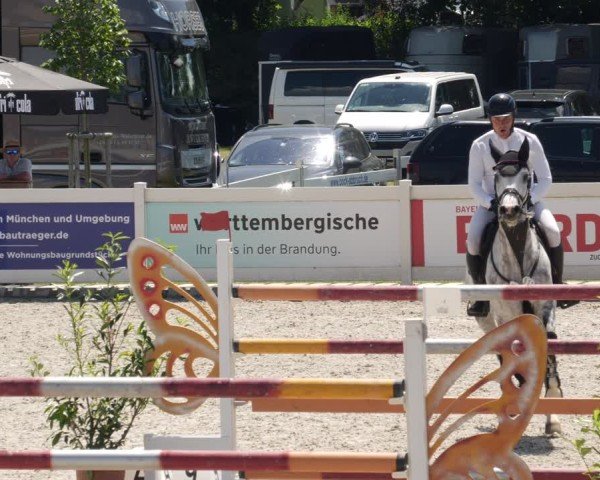 Reitturnier Babenhausen/Schw. 2025