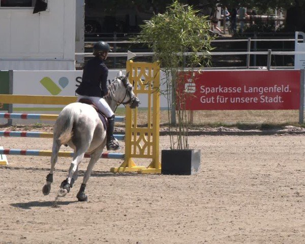 Reitturnier Langenfeld 2025