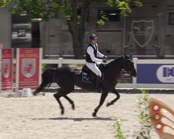 Reitturnier Babenhausen/Schw. 2025