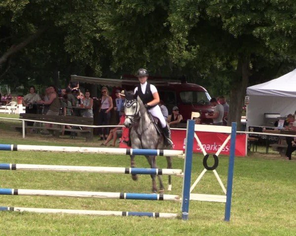 Reitturnier Schwittersdorf-Beesenstedt 2025