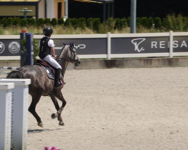 Reitturnier Babenhausen/Schw. 2025