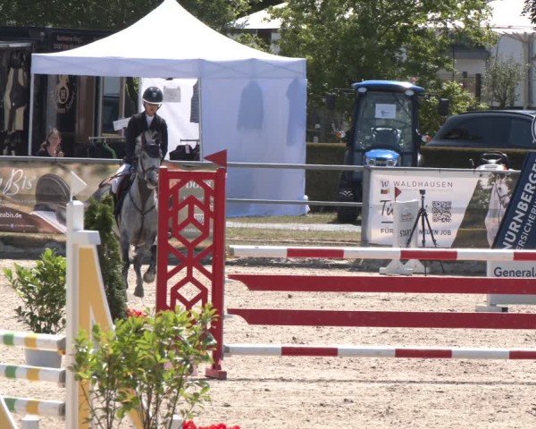 Reitturnier Langenfeld 2025
