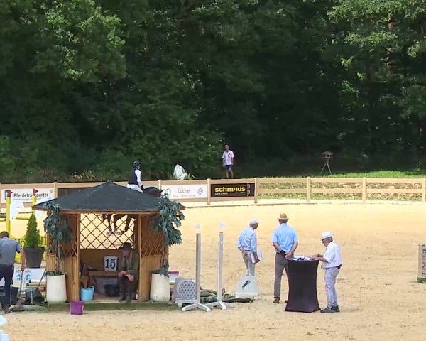 Reitturnier Tiefenhof/Opf. 2025