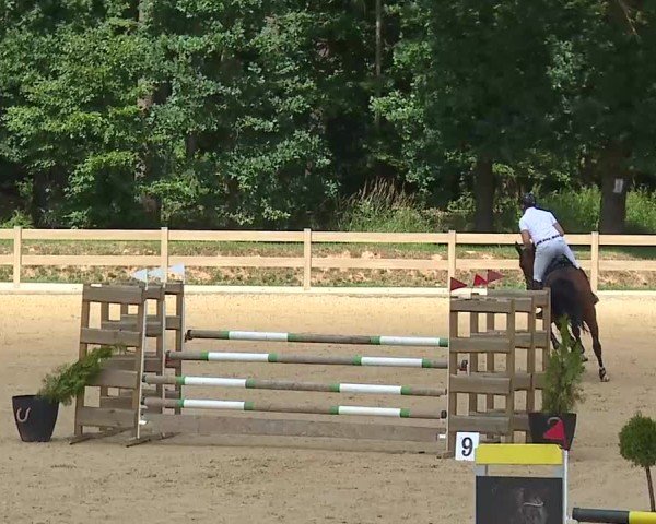 Reitturnier Tiefenhof/Opf. 2025