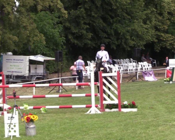Reitturnier Schwittersdorf-Beesenstedt 2025
