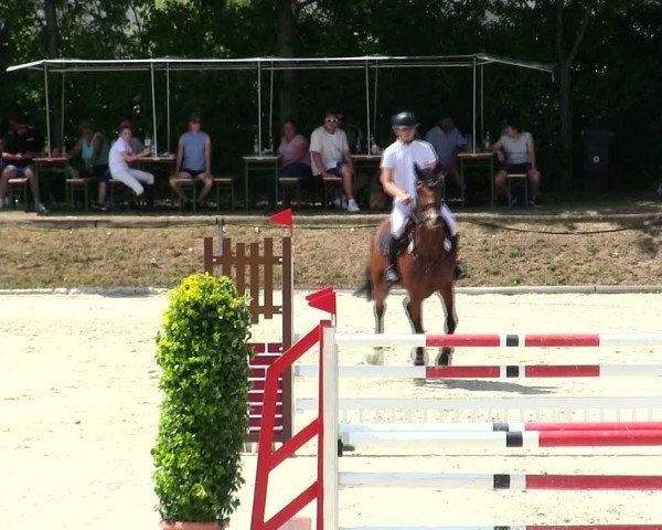Reitturnier Großbardorf/Ufr. 2025