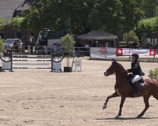Reitturnier Langenfeld 2025