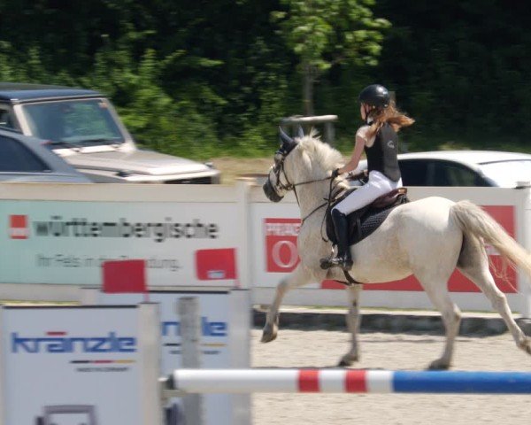 Reitturnier Babenhausen/Schw. 2025