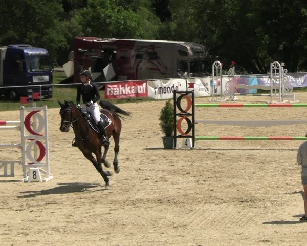 Reitturnier Bad Liebenstein/Sorga 2025
