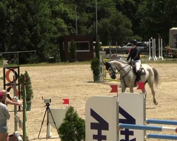 Reitturnier Bad Liebenstein/Sorga 2025
