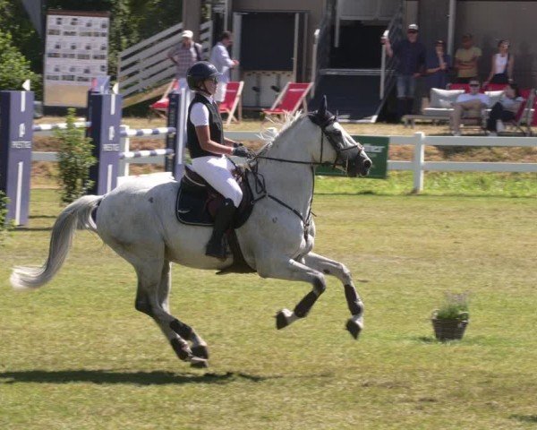 Reitturnier Aach 2025