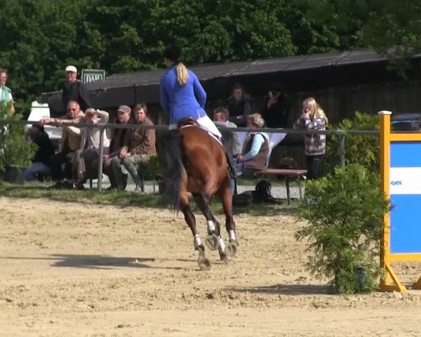 Großes Reit- und Springturnier Bühren-Breckerfeld 2014