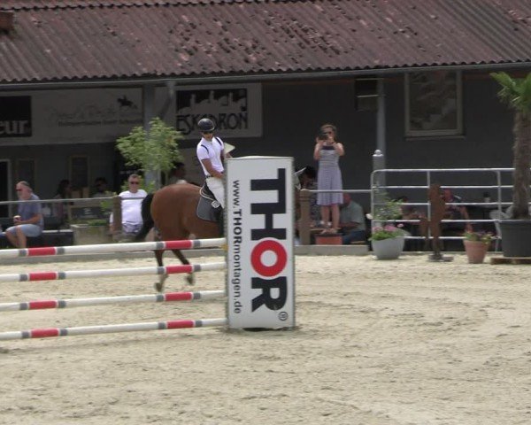 Reitturnier Uder, Reitanlage Kobold 2025