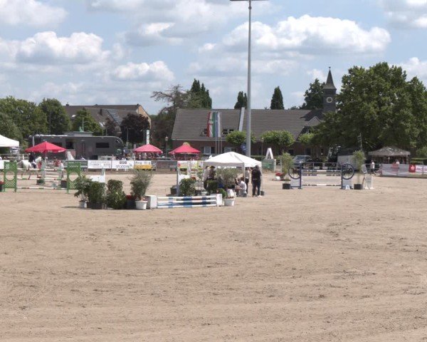 Reitturnier Langenfeld 2025