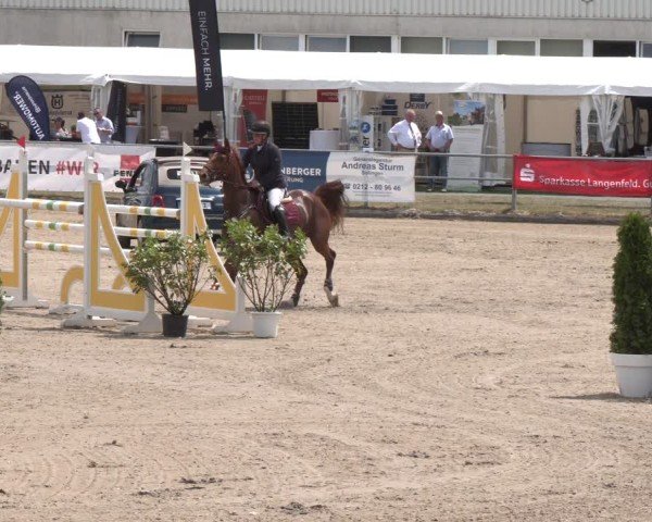 Reitturnier Langenfeld 2025